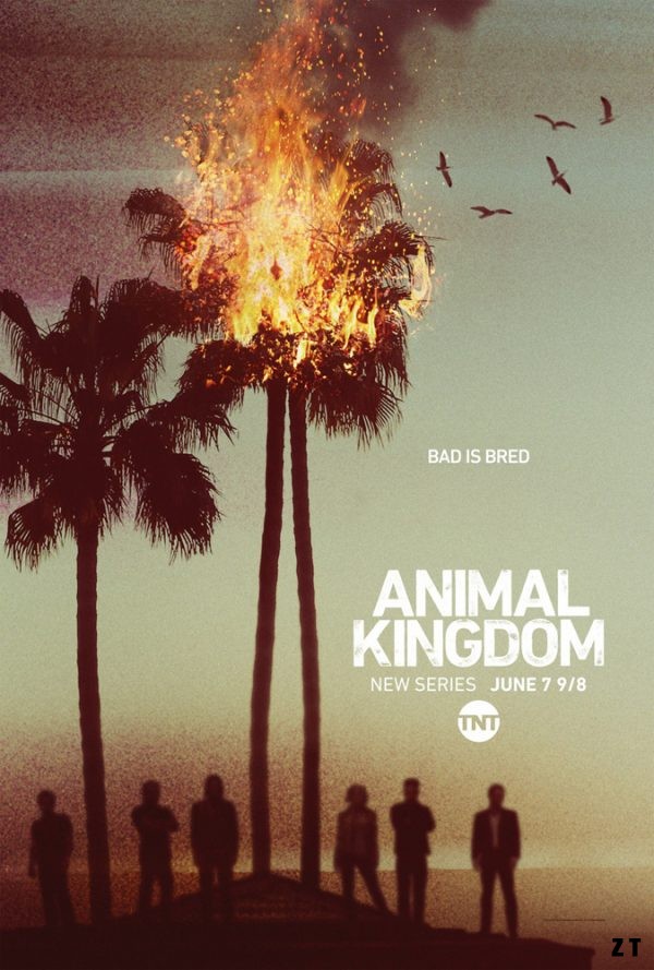 Animal Kingdom S02E03 FRENCH HDTV