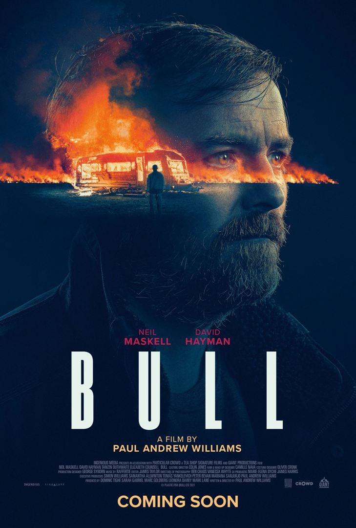 Bull VOSTFR WEBRIP 2022