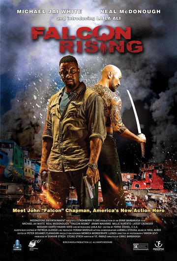 Falcon Rising FRENCH DVDRIP 2015