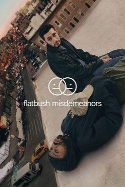 Flatbush Misdemeanors S01E03 FRENCH HDTV