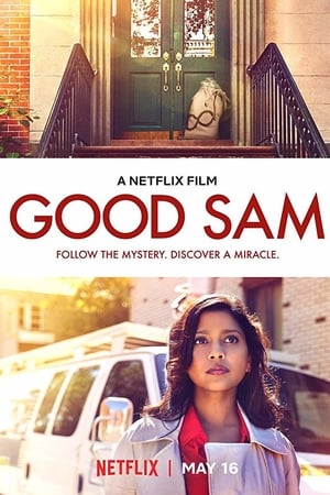 Good Sam FRENCH WEBRIP 720p 2019