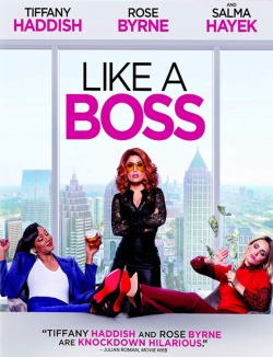 Like a Boss TRUEFRENCH BluRay 720p 2020