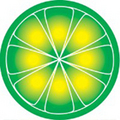 LimeWire PRO 4 18 8