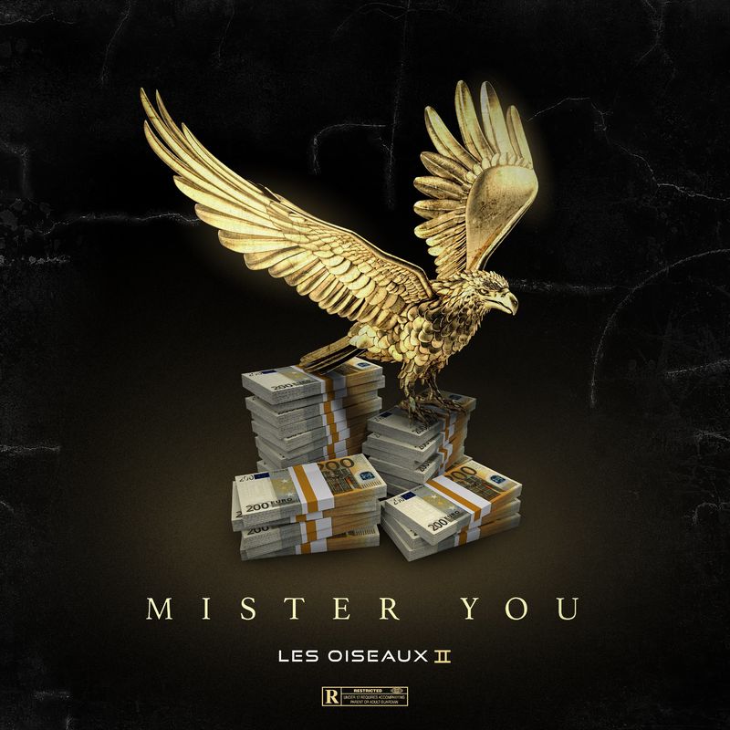 Mister you - Les oiseaux II 2021