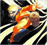 Naruto Shippuden 205 VOSTFR