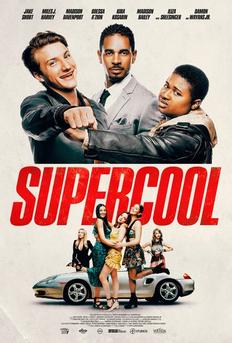 Supercool FRENCH WEBRIP LD 720p 2022