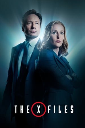 The X-Files Saison 4 MULTI WEBRIP 1080p HDTV