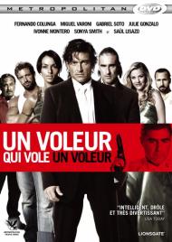 Un voleur qui vole un voleur FRENCH DVDRIP 2012