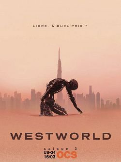 Westworld S03E06 VOSTFR HDTV